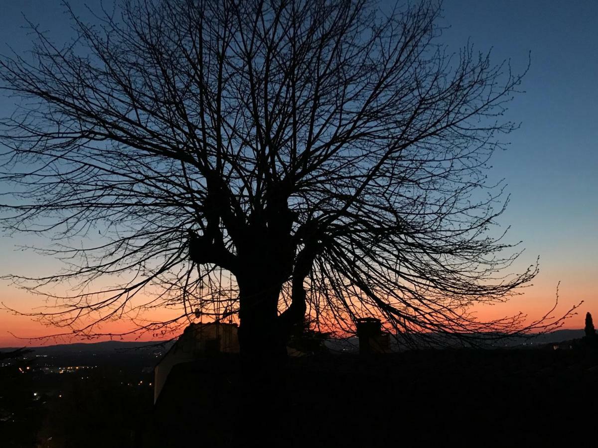 Camera E Appartamento Toscana - B&B Palazzo Robicci Castiglion Fiorentino Bagian luar foto
